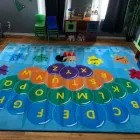 Business 21 image DOUGLAS CARPET & UPHOLSTERY CLEANING SERVICE Wood Flooring in Chicago IL
