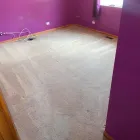Business 23 image DOUGLAS CARPET & UPHOLSTERY CLEANING SERVICE Wood Flooring in Chicago IL