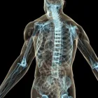 Business 4 image DR BARY CHIROPRACTIC AND ACUPUNCTURE AUSTIN Physicians & Surgeons in Austin TX