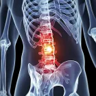 Business 2 image DR. SHAWNIE LAMBORN Chiropractors & Chiropractic Services in Tulsa OK
