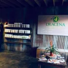 Business 5 image DRACENA PLANT-POWERED BEAUTY Natural Beauty Products in Mission KS
