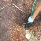 Business 2 image DRAIN GENIE PLUMBING SERVICES Water Treatment Equipment & Service in Deltona FL