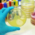 Business 4 image DREAM PHARMACY 24/7 CANADIAN/USA Pharmaceutical Companies in Everman TX