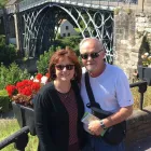 Business 12 image DREAM VACATIONS - SHANNON AND JOE TOY in Lexington KY