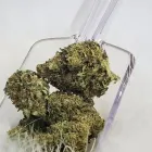 Business 5 image DREAMLUX DISPENSARY Cannabis Dispensaries in Oklahoma City OK