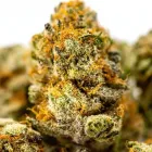 Business 7 image DREAMLUX DISPENSARY Cannabis Dispensaries in Oklahoma City OK