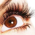 Business 9 image DULCE LASH LOUNGE Beauty Products in Mercer Island WA