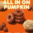 Business 68 image DUNKIN' Donuts in Oklahoma City OK