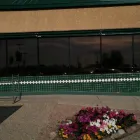 Business 1 image DWIGHT'S AUTO GLASS & TINT Auto Window Tinting Service in Tucson AZ