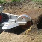 Business 2 image EAGLE TREE SERVICE in Oakland CA