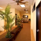 Business 2 image EAST VANCOUVER CHIROPRACTIC & MASSAGE Acupuncture in Vancouver WA