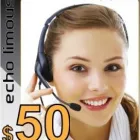 Business 7 image ECHO LIMOUSINE Travel & Tourism in Chicago IL