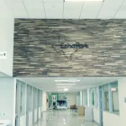 Business 4 image ECHOPARK AUTOMOTIVE HOUSTON Used Car Dealers in Houston TX