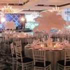Business 46 image ECLIPSE DJ ENTERTAINERS Wedding Planner in King Of Prussia PA