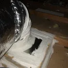 Business 5 image ECO ATTIC SYSTEMS Cleaning Services in Berkeley CA