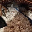 Business 7 image ECO ATTIC SYSTEMS Cleaning Services in Berkeley CA