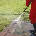 Business 1 image ECO CLEAN Carpet & Upholstery Cleaning in Bellevue WA