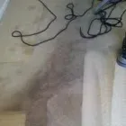 Business 2 image ECO CLEAN Carpet & Upholstery Cleaning in Bellevue WA