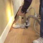 Business 3 image ECO CLEAN Carpet & Upholstery Cleaning in Bellevue WA