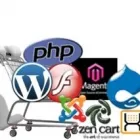 Business 2 image ECOMMERCE MAGENTO WEB DEVELOPMENT Web Design & Development in New York NY