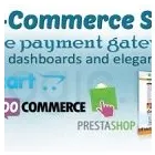 Business 5 image ECOMMERCE MAGENTO WEB DEVELOPMENT Web Design & Development in New York NY