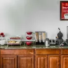 Business 3 image ECONO LODGE INN & SUITES Hotel in Enterprise AL