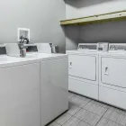 Business 10 image ECONO LODGE INN & SUITES Hotel in Enterprise AL