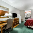 Business 11 image ECONO LODGE INN & SUITES Hotel in Enterprise AL