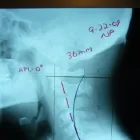 Business 2 image ED CAMP CHIROPRACTIC Physicians & Surgeons, Sports Medicine in San Francisco CA