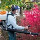 Business 5 image EDGE PEST CONTROL AND MOSQUITO SERVICES Wasps in Colorado Springs CO