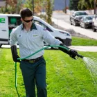 Business 6 image EDGE PEST CONTROL AND MOSQUITO SERVICES Wasps in Colorado Springs CO