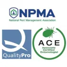 Business 7 image EDGE PEST CONTROL AND MOSQUITO SERVICES Wasps in Colorado Springs CO