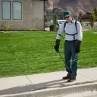 Business 9 image EDGE PEST CONTROL AND MOSQUITO SERVICES Wasps in Colorado Springs CO