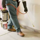 Business 13 image EDGE PEST CONTROL AND MOSQUITO SERVICES Wasps in Colorado Springs CO