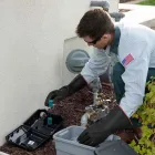 Business 15 image EDGE PEST CONTROL AND MOSQUITO SERVICES Wasps in Colorado Springs CO