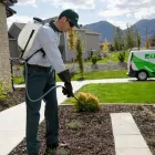 Business 16 image EDGE PEST CONTROL AND MOSQUITO SERVICES Wasps in Colorado Springs CO