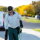 Business 17 image EDGE PEST CONTROL AND MOSQUITO SERVICES Wasps in Colorado Springs CO