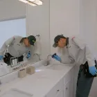 Business 20 image EDGE PEST CONTROL AND MOSQUITO SERVICES Wasps in Colorado Springs CO