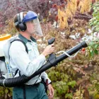 Business 27 image EDGE PEST CONTROL AND MOSQUITO SERVICES Wasps in Colorado Springs CO