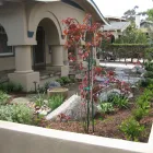 Business 7 image EFREN DUARTE LANDSCAPE Tree Service in San Diego CA