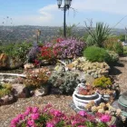 Business 3 image EFREN DUARTE LANDSCAPE Tree Service in San Diego CA
