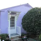 Business 1 image EL GATO PAINTING Painting in San Jose CA