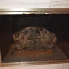 Business 7 image ELEGANT FIRESIDE AND PATIO Fireplace Accessories in Plano TX