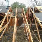 Business 2 image ELEMENT HOME RESTORATION Animal Exclusion in North Richland Hills TX