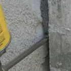 Business 6 image ELIMINATE 'EM PEST CONTROL SERVICES LLC Yellow Jacket in Terryville CT