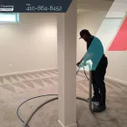 Business 2 image EM.DI CARPET CLEANING BALTIMORE Home Improvements in Baltimore MD