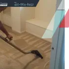 Business 1 image EM.DI CARPET CLEANING BALTIMORE Home Improvements in Baltimore MD