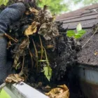 Business 2 image EMMANUEL SERVICE GUTTERS Gutter Service in Houston TX