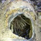 Business 10 image EMORY PLUMBING Water Pressure Regulator in San Diego CA