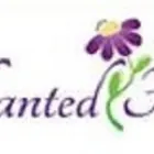 Business 1 image ENCHANTED FLORIST Wedding Supplies & Services in Pasadena TX